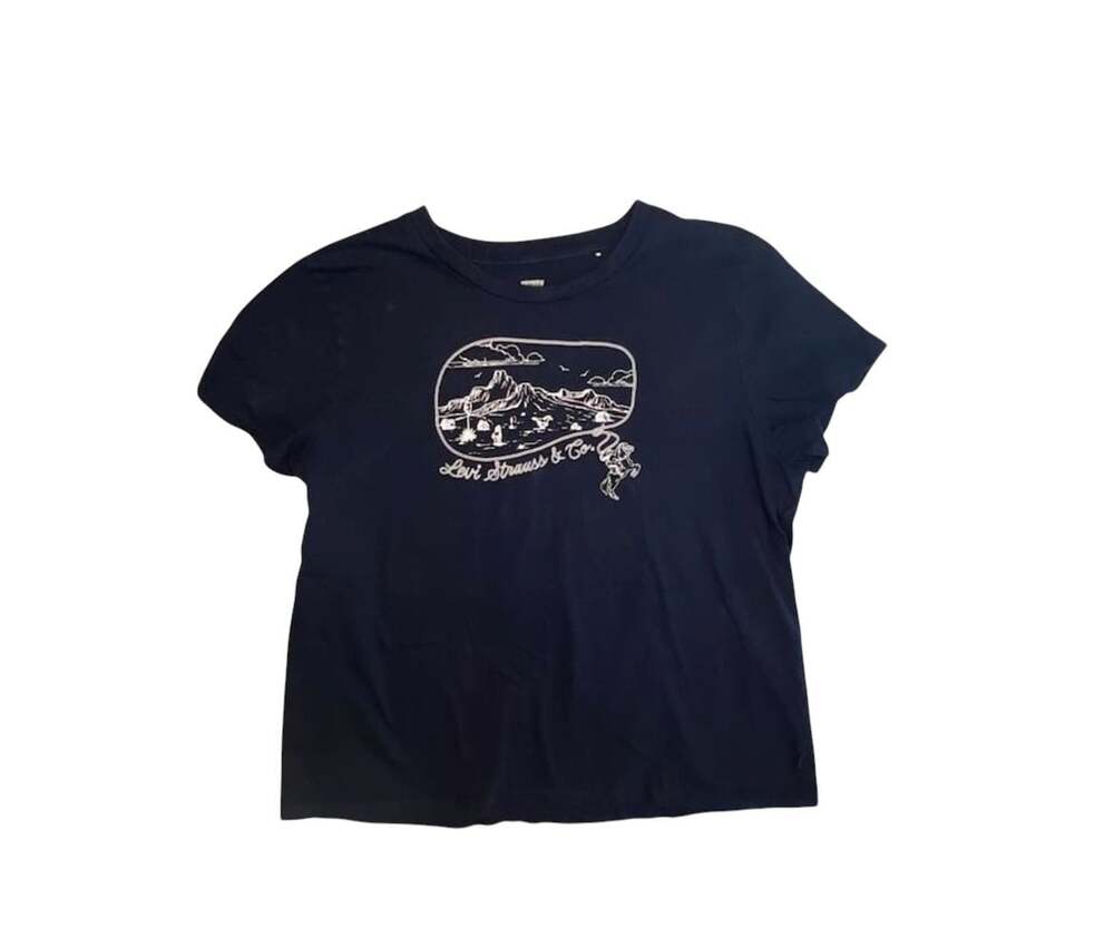 Levi Strauss & Co. Mountain Landscape Graphic Crew Neck T-Shirt